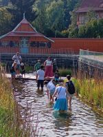 Fotografie img-20250829-wa0008_original.jpg