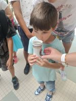 Fotografie img20250829142356_original.jpg