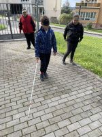 Fotografie 548872242-122164686776522288-31029265043_original.jpg