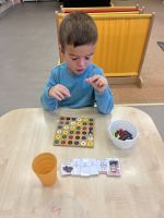 Fotografie img-6832_original.jpeg