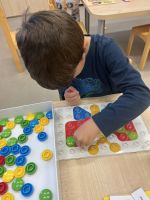 Fotografie img-6860_original.jpeg