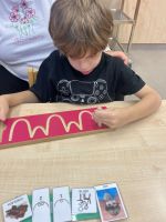 Fotografie img-7185_original.jpeg