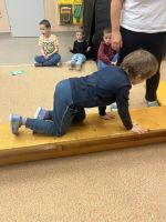 Fotografie img-7240_original.jpeg