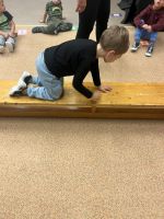 Fotografie img-7243_original.jpeg