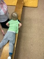 Fotografie img-7246_original.jpeg