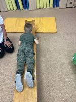 Fotografie img-7247_original.jpeg