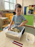 Fotografie ryze-oli_original.jpg