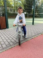 Fotografie zahrada-odrazedlo-pata_original.jpg