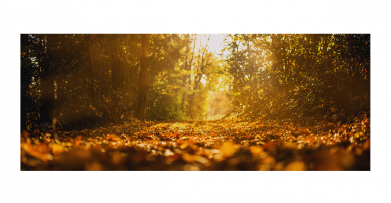 Provoz SPC o podzimních prázdninách