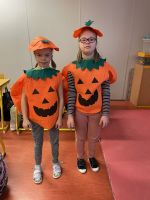 Fotografie img-5230_original.jpeg