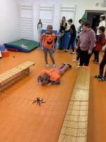 Fotografie img-5270_original.jpeg