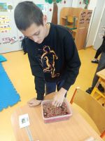 Fotografie 301c06bf-f9f8-4a2a-a257-4a291f45c565_original.jpg