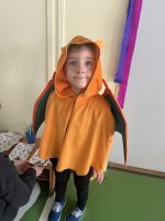 Fotografie img-7913_original.jpeg