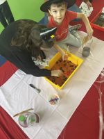 Fotografie img-7924_original.jpeg