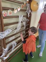 Fotografie img-7937_original.jpeg