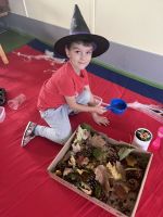 Fotografie img-7978_original.jpeg