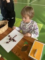 Fotografie img-8002_original.jpeg