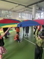 Fotografie img-8052_original.jpeg