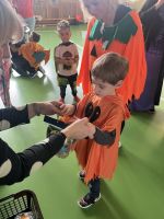 Fotografie img-8097_original.jpeg