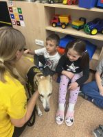 Fotografie img-7519_1_original.jpeg