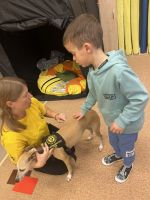 Fotografie img-7546_original.jpeg