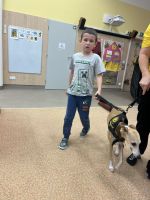 Fotografie img-7567_original.jpeg