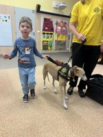 Fotografie img-7571_original.jpeg