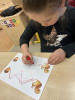 Fotografie img-7620_original.jpeg