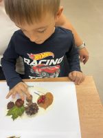 Fotografie img-7659_original.jpeg