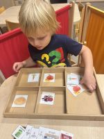 Fotografie img-7733_1_original.jpeg