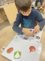 Fotografie img-7740_original.jpeg