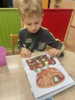 Fotografie img-7741_1_original.jpeg