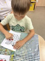 Fotografie img-8108_1_original.jpeg