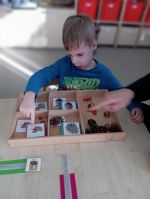 Fotografie l-struktura_original.jpg