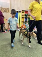 Fotografie p-canisterpie_original.jpg