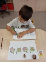 Fotografie p-grafo_original.jpg