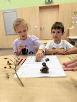 Fotografie tavna-s-a-p_original.jpg