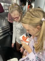 Fotografie img-5353_original.jpeg