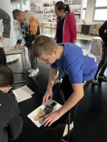 Fotografie img-5356_original.jpeg