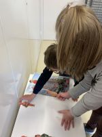 Fotografie img-5375_original.jpeg