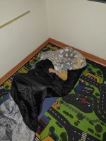 Fotografie img-20251106-213412636_original.jpg