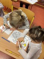 Fotografie img-20251110-wa0022_original.jpg