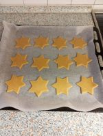 Fotografie photo-2025-11-13-14-28-51-5_original.jpg