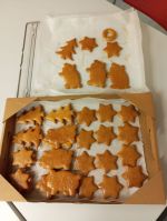 Fotografie photo-2025-11-13-14-28-51-6_original.jpg