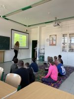 Fotografie img-5480_original.jpeg