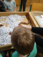 Fotografie 38f308d8-67da-4864-a9f1-aab0f70d45e5_original.jpg