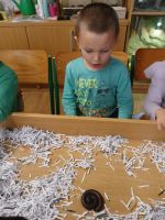 Fotografie 3ffbc7fb-bb38-4529-9b27-caba19e13dc9_original.jpg