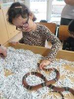 Fotografie 8b44e2bf-0405-4811-a3c9-ee6743f98ffc_original.jpg