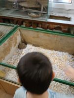 Fotografie d2cb01d2-f0c5-44a6-9625-82c27666b17e_original.jpg