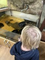 Fotografie img-8466_original.jpeg